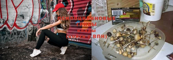 гидра Абдулино