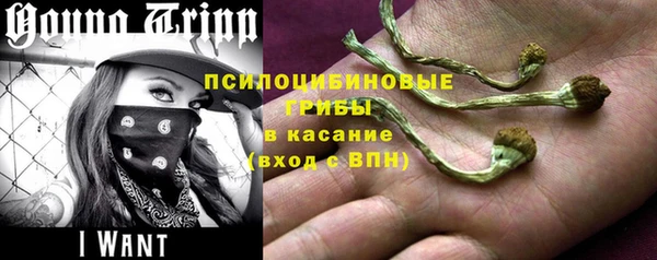 гидра Абдулино