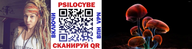 Псилоцибиновые грибы мицелий Кадников